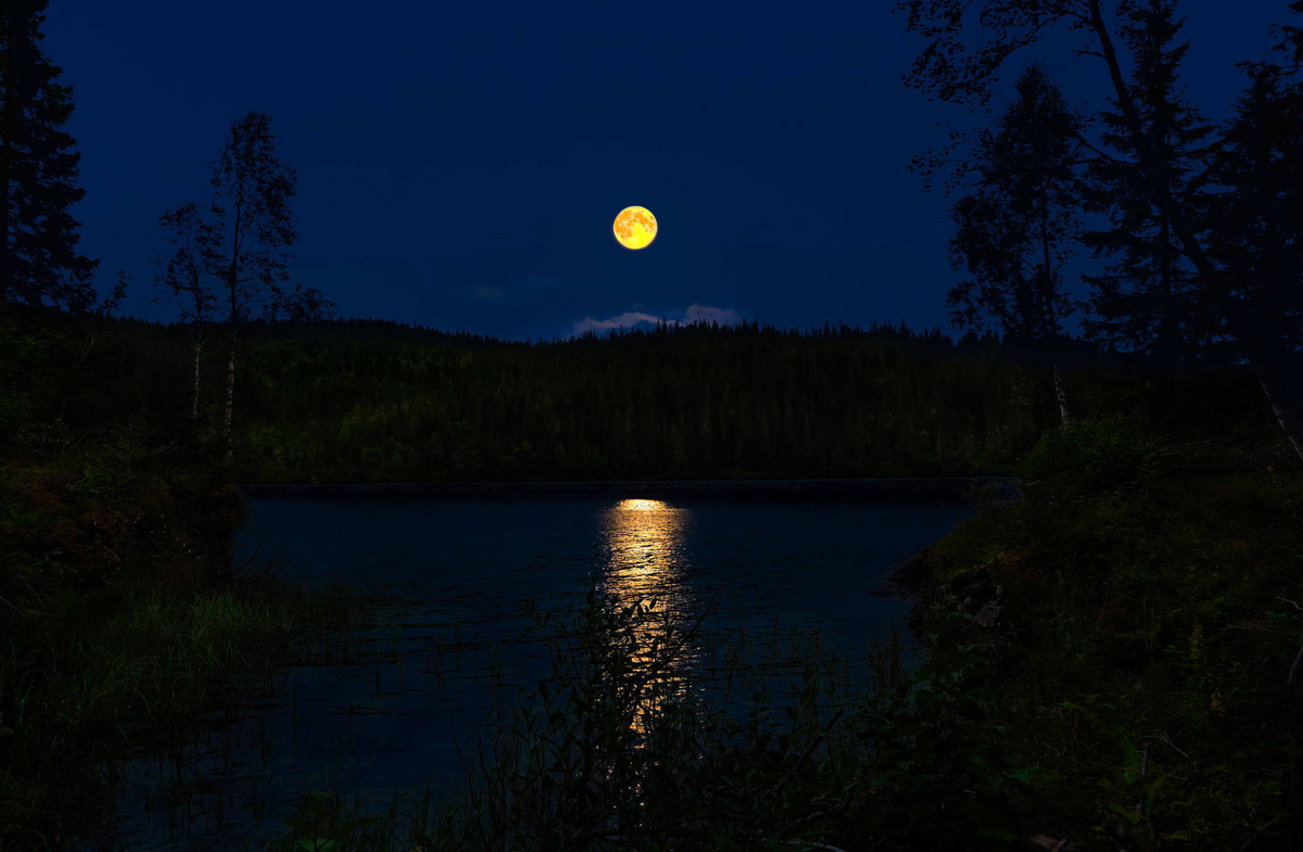 wallpapers.com