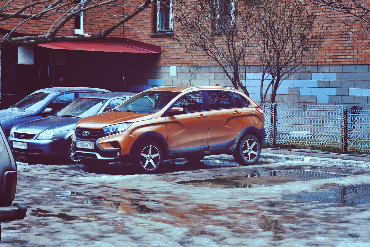 Местные железные волки. Копирование фотографии запрещено. Защищено авторским правом. 