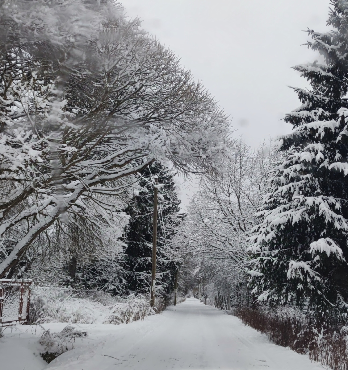 Наша зимняя улица 