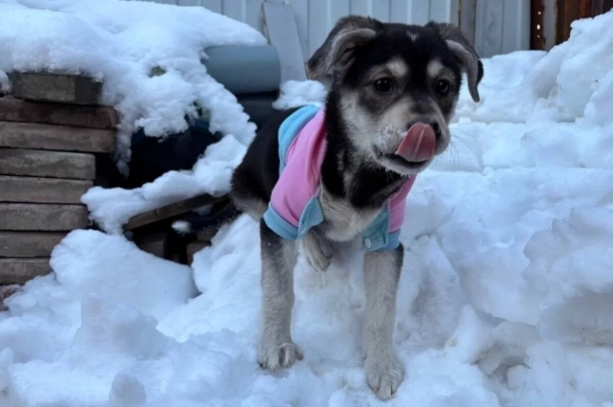    Метеоролог Тишковец: за сутки в Крыму выпало 70 % месячной нормы осадков