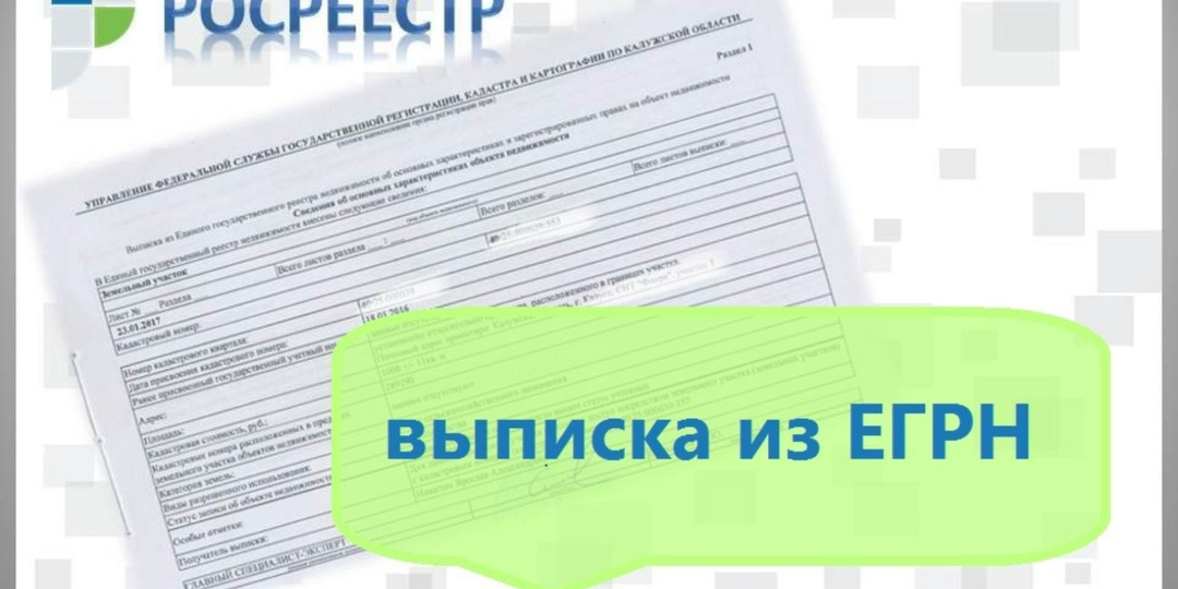 Выписки из Единого государственного реестра недвижимости (ЕГРН), виды выписок, кому предоставляются, персональные данные в выписке из ЕГРН