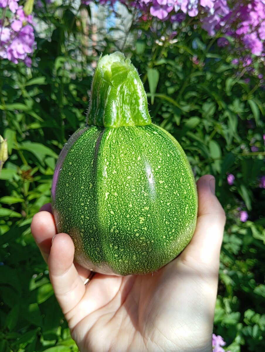 Вот из такого получилось еды на два раза. 