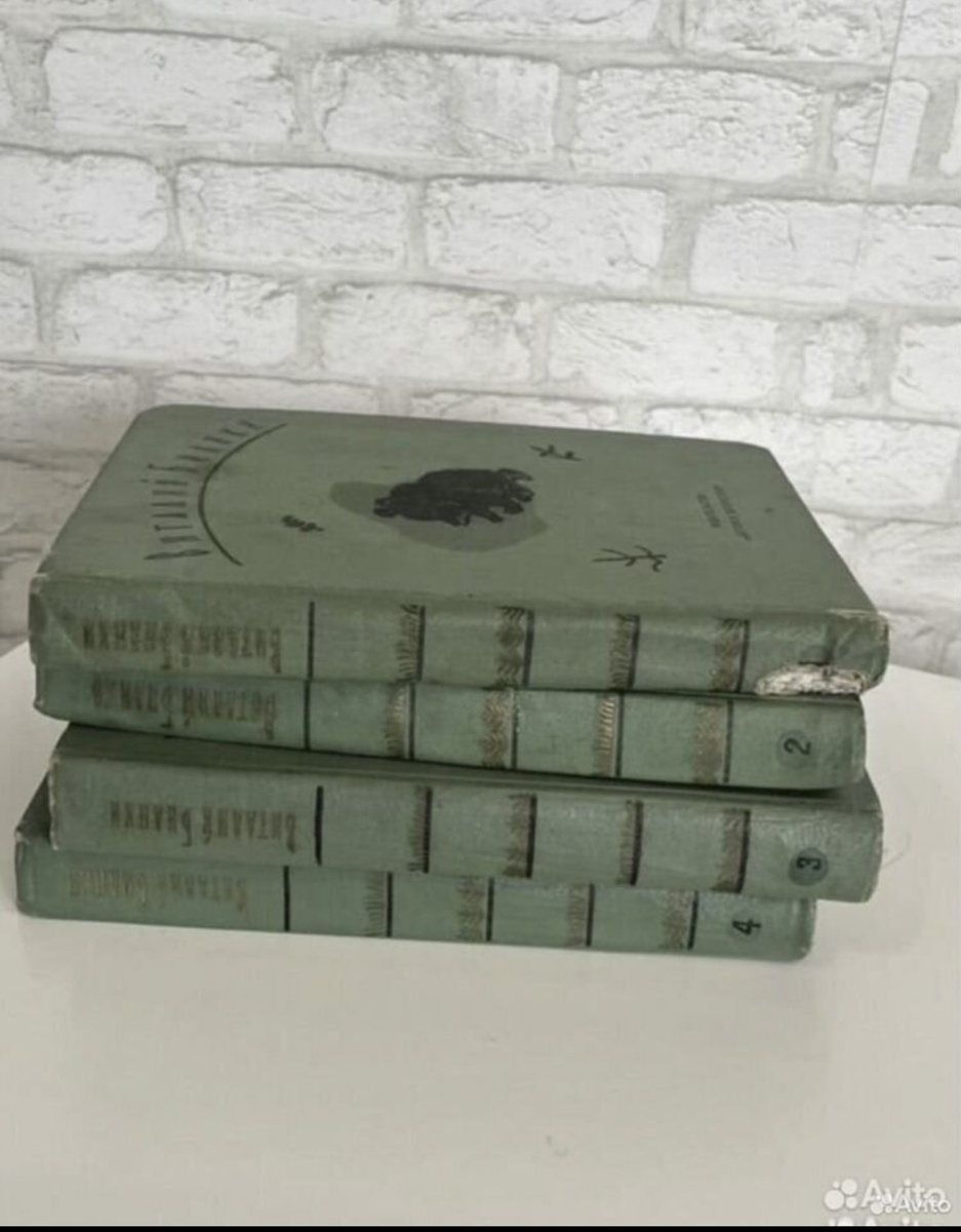 Книги которых не пощадил время и Гаражное хранение. Фото автора