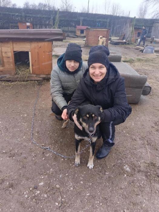 Фото: группа приюта «Лесопилка» в соцсети «ВКонтакте»