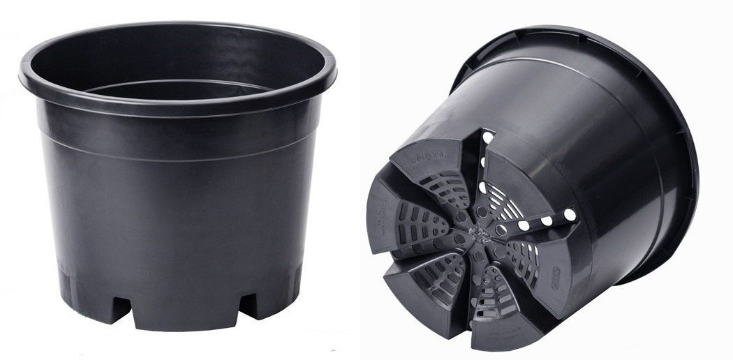 Специальный контейнер для выращивания голубики. Фото из интернета.