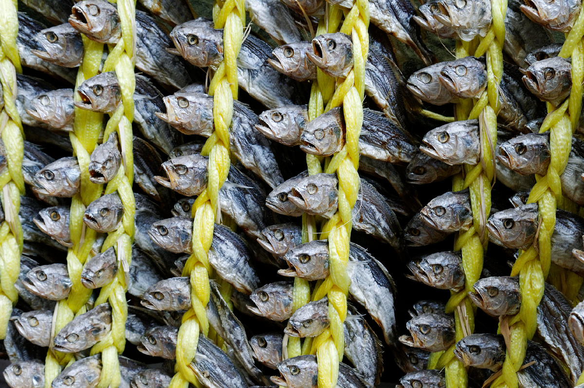 Фото: © Egmont Strigl/ imageBROKER.com/ Global Look Press 