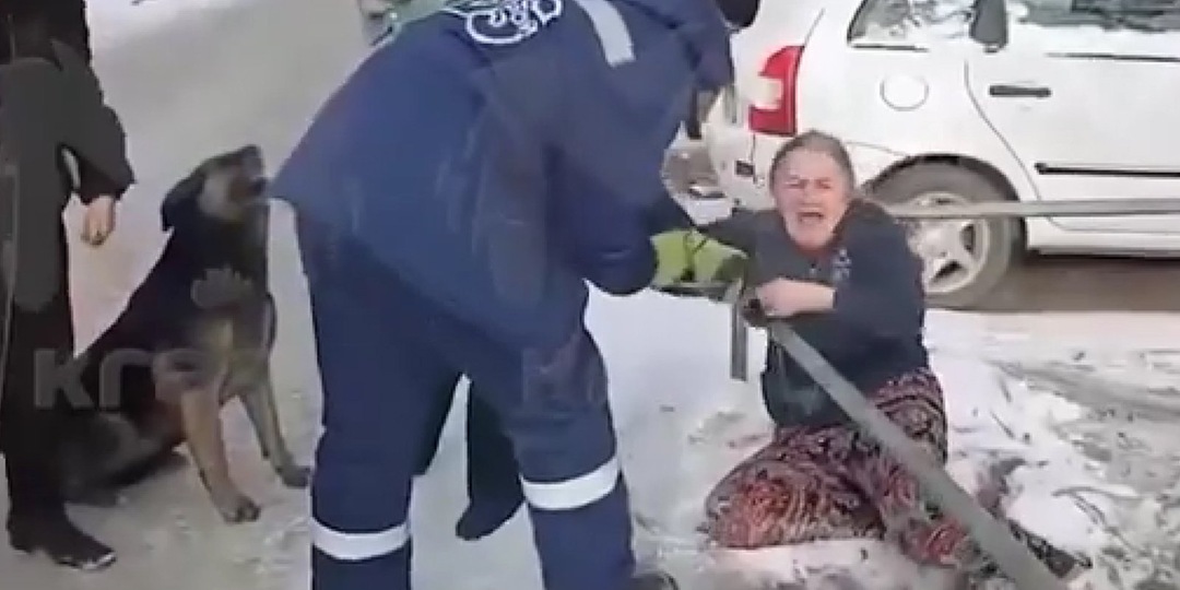 Двор встал на защиту собаки от службы отлова в Красноярске