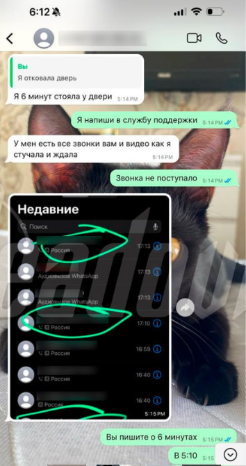 Фото: скрин видео то-канала "Readovka".