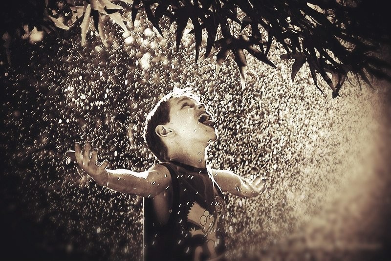 Скачено из открытых источников интернета.