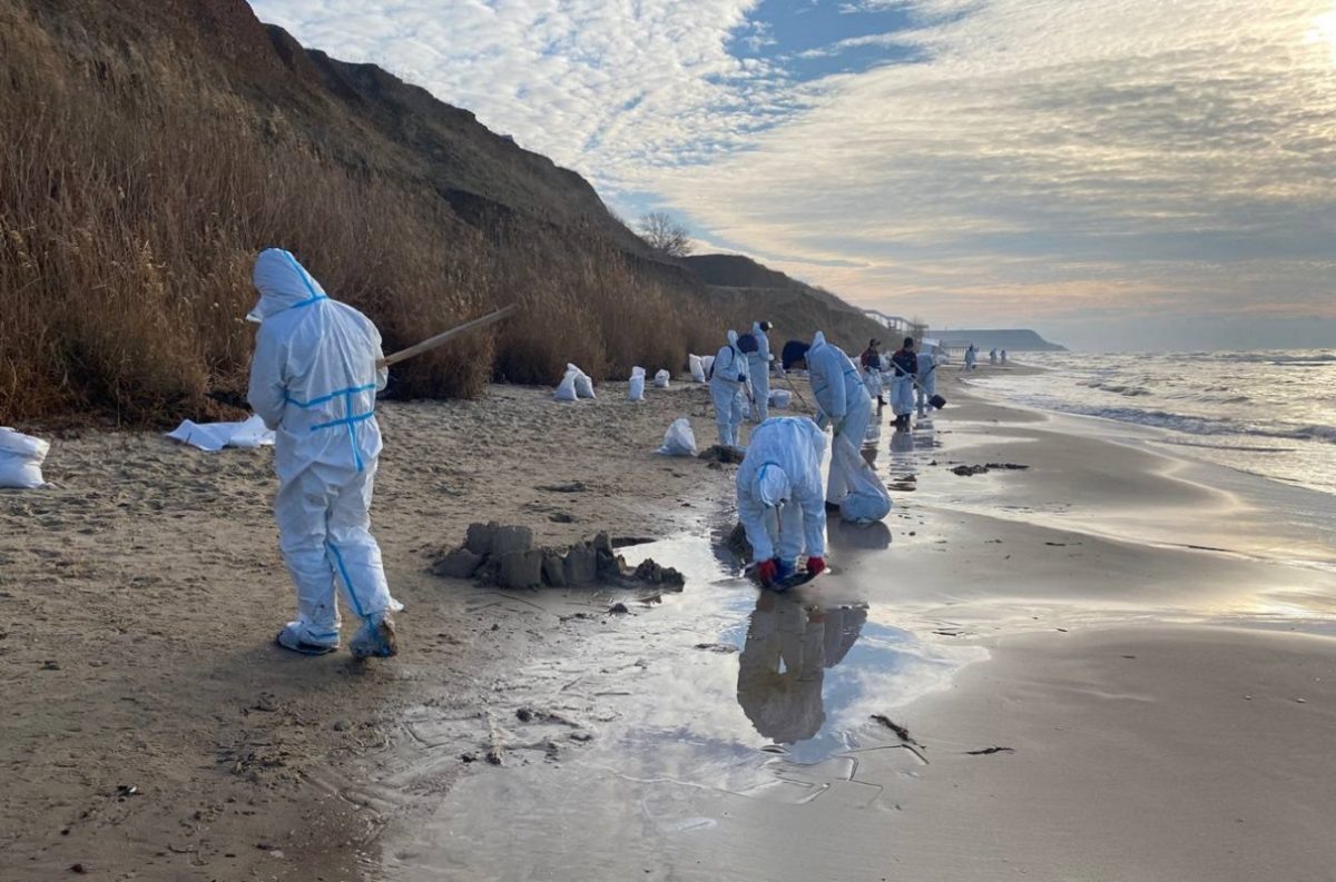    Волонтёры вовсю очищают пляжи Анапы от мазута