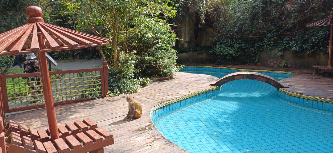 Хайнань: побывали на Острове обезьян, где есть обезьяний детский сад, тюрьма и luxary-пляж