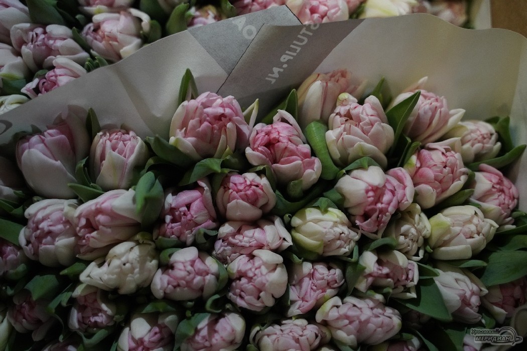    Фото: Лидия Аникина © ИА "Уральский меридиан"