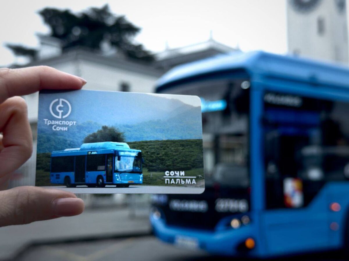    Фото: пресс-служба администрации города Сочи