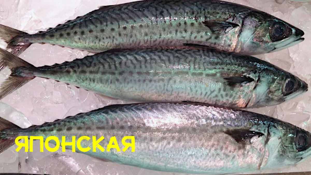 Рисунок другой.