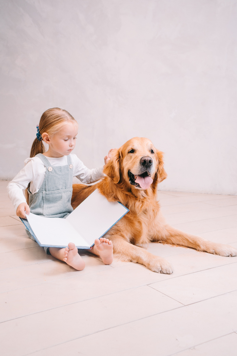 Четвероногая мечта