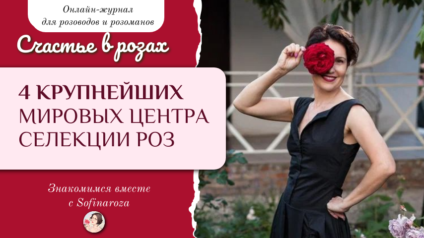 «Счастье в розах», выпуск №12, 07 февраля 2025г.