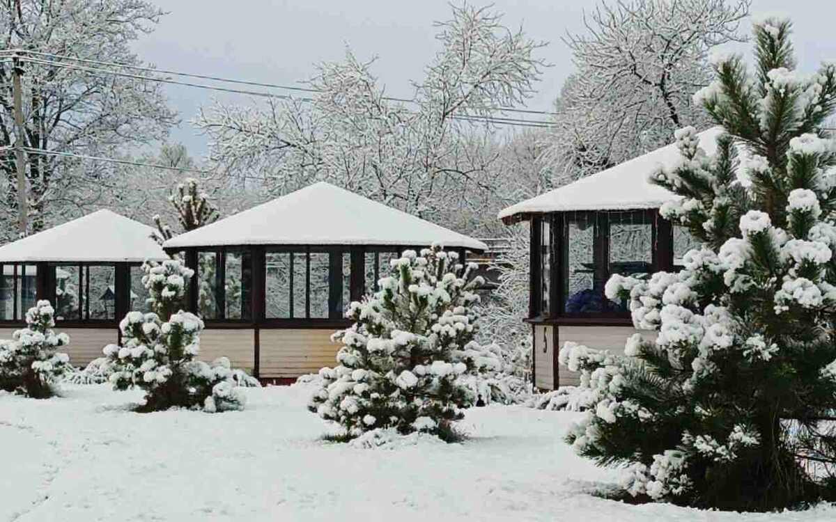    Силовики наведались на базу отдыха «Мадагаскар» в Семилукском районе Фото: соцсети «Мадагаскара»