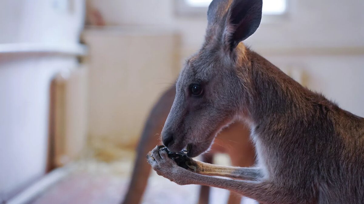 © Sputnik / Тимур Батыршин