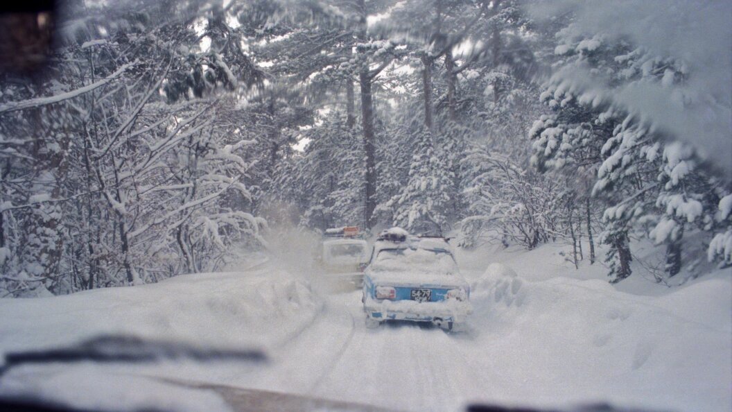    Aleksander Lyskin/Global Look Press/Globallookpress