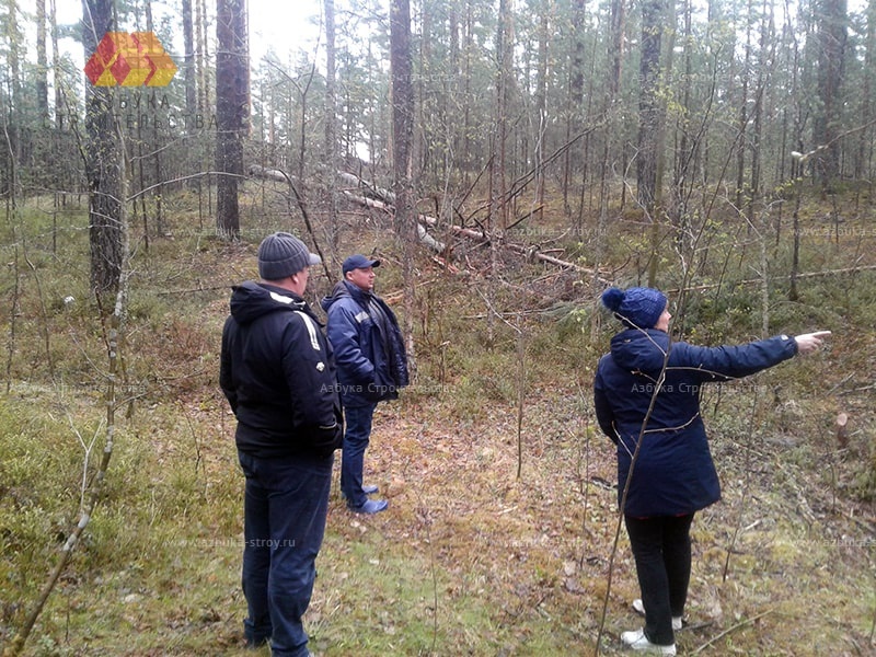 Первый выезд на участок