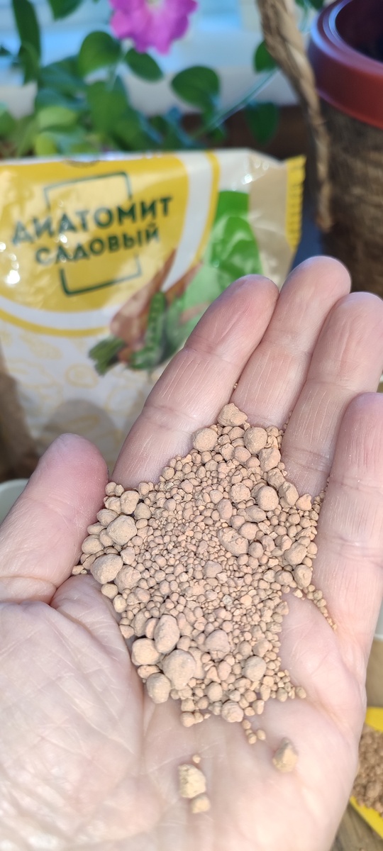 Диатомит похож на шарики глины. 