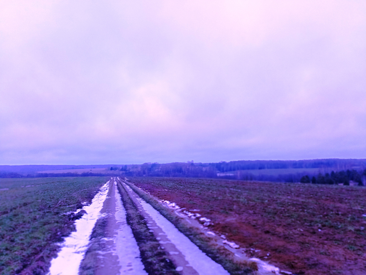 Ночью были заморозки и грунтовая дорога замерзла. На подъезде к урочищу. 