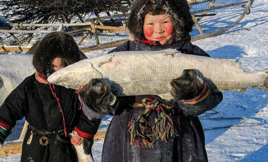 Холестерин нам друг, а не враг: новые факты