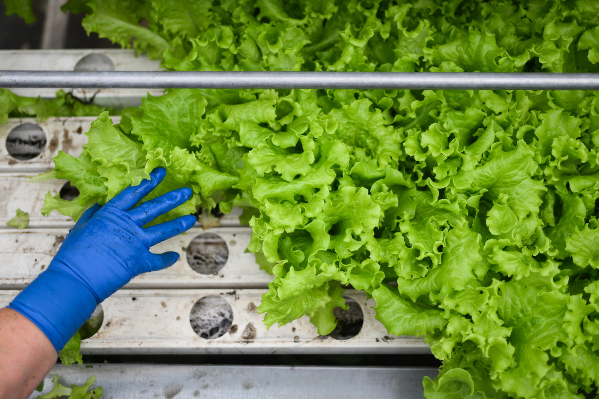 ©РИА Новости/Александр Кряжев