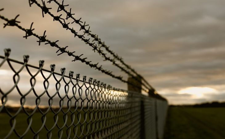 Фото:. freepik.com