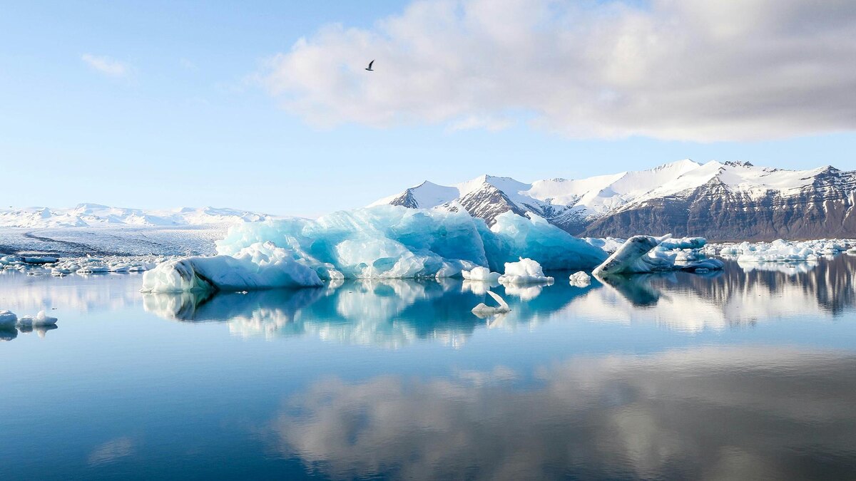    Фото: unsplash.com