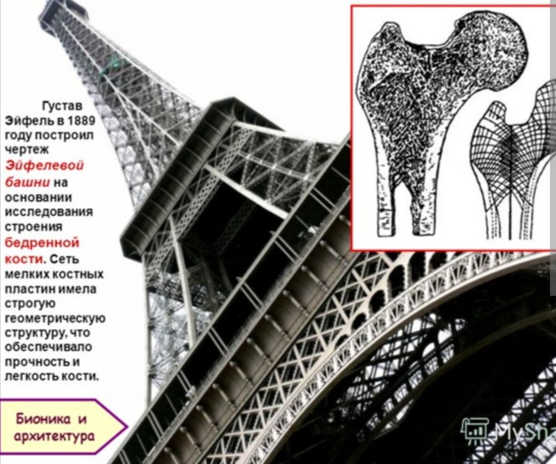 Башня имитирует внутреннюю структуру бедренной кости.