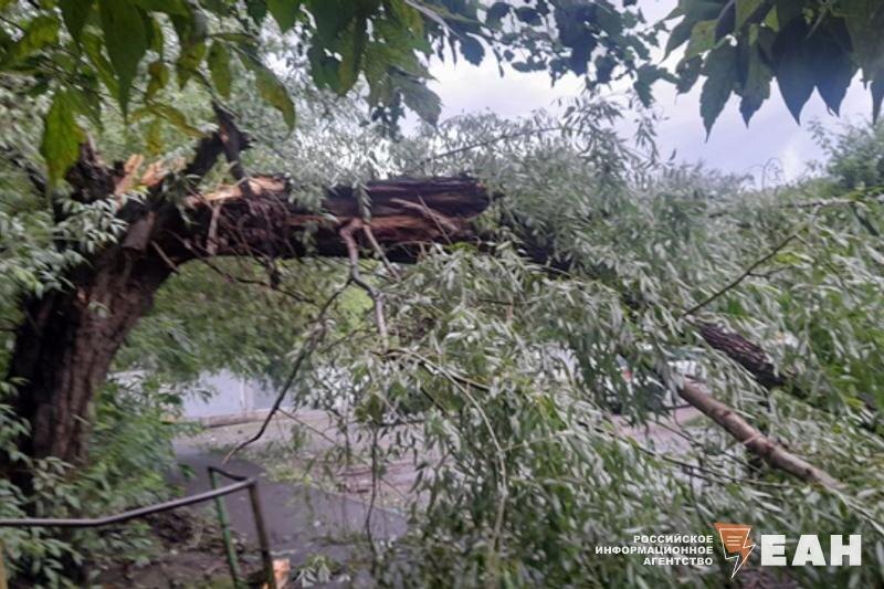    ЕАН / Архивное фото