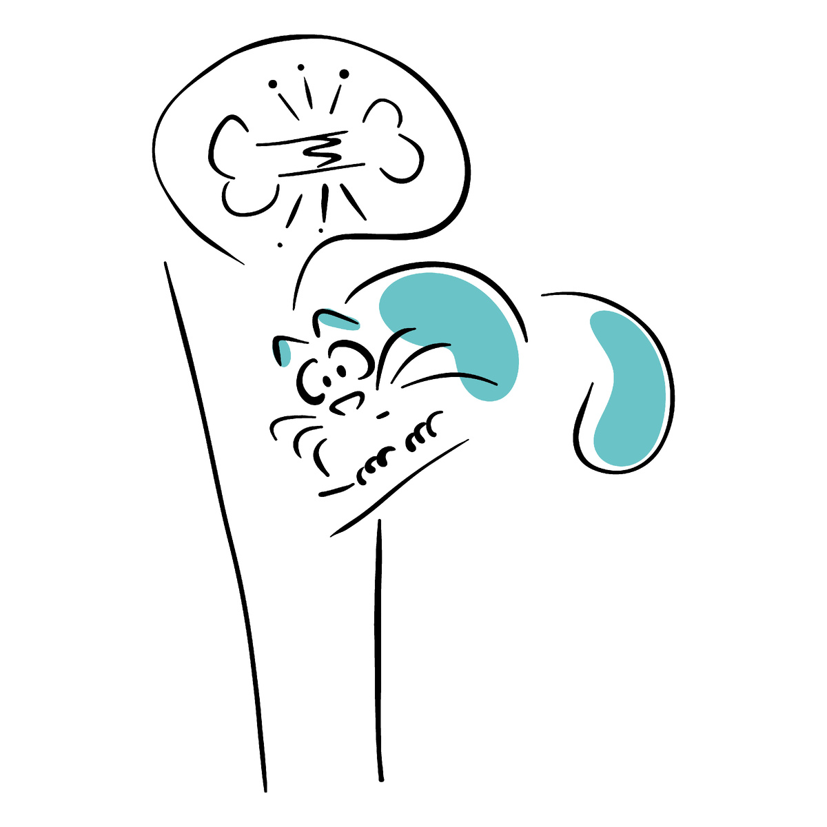 котик думает о переломе