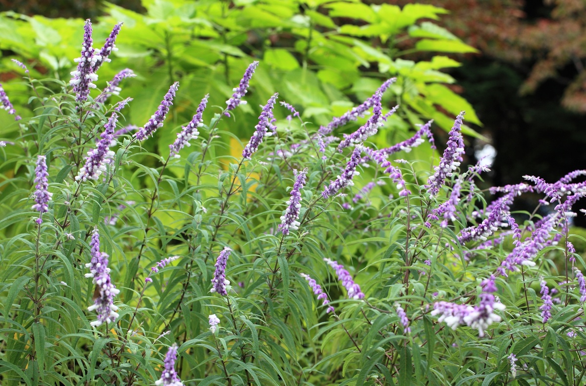    Фото с сайта pxhere.com