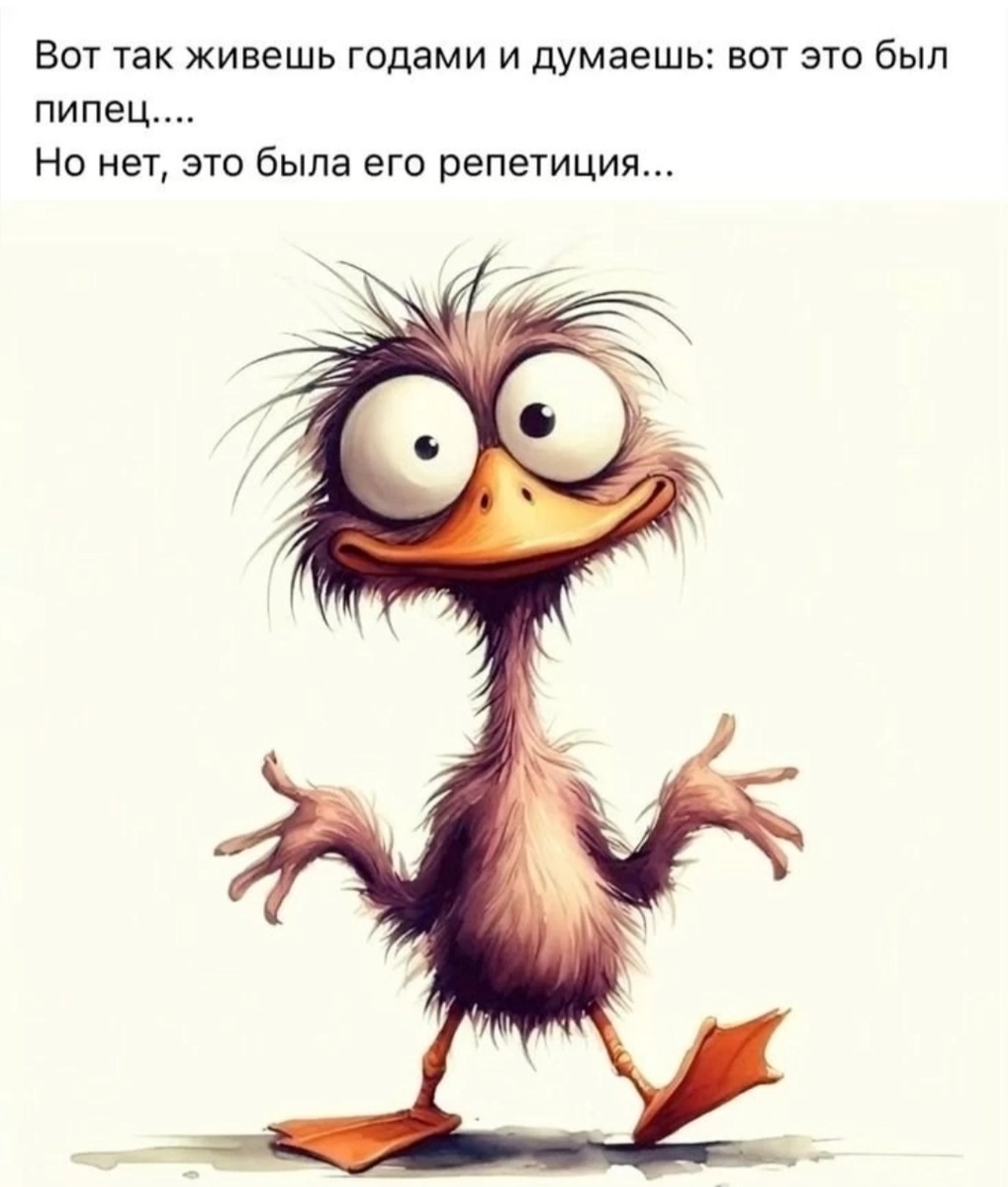 Фото взято из интернета 