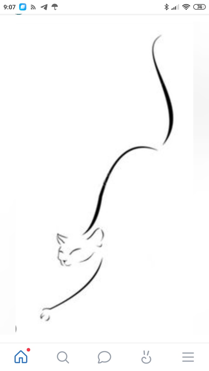 Фото взято из интернета 