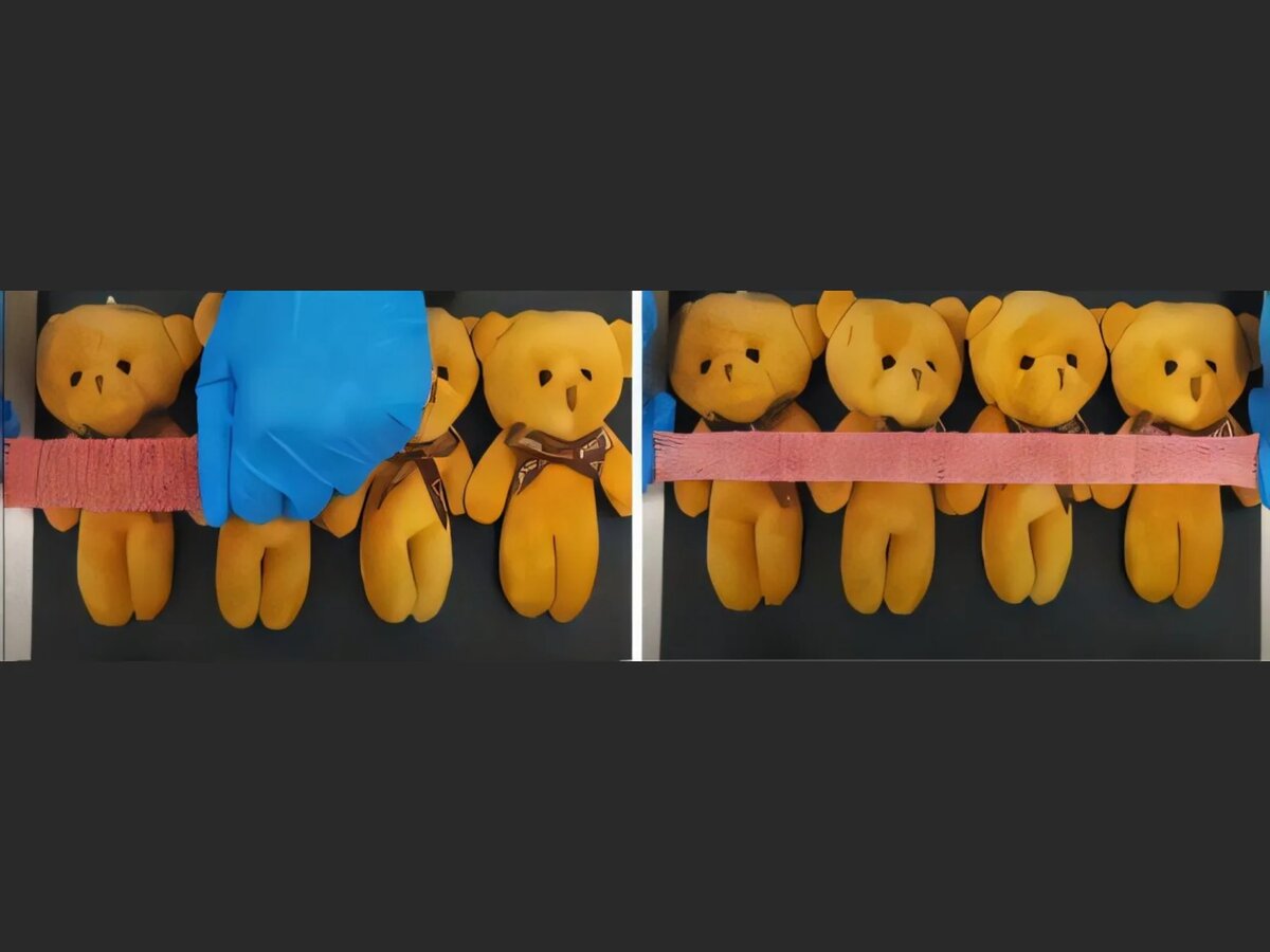 Фото: Университет Ватерлоо