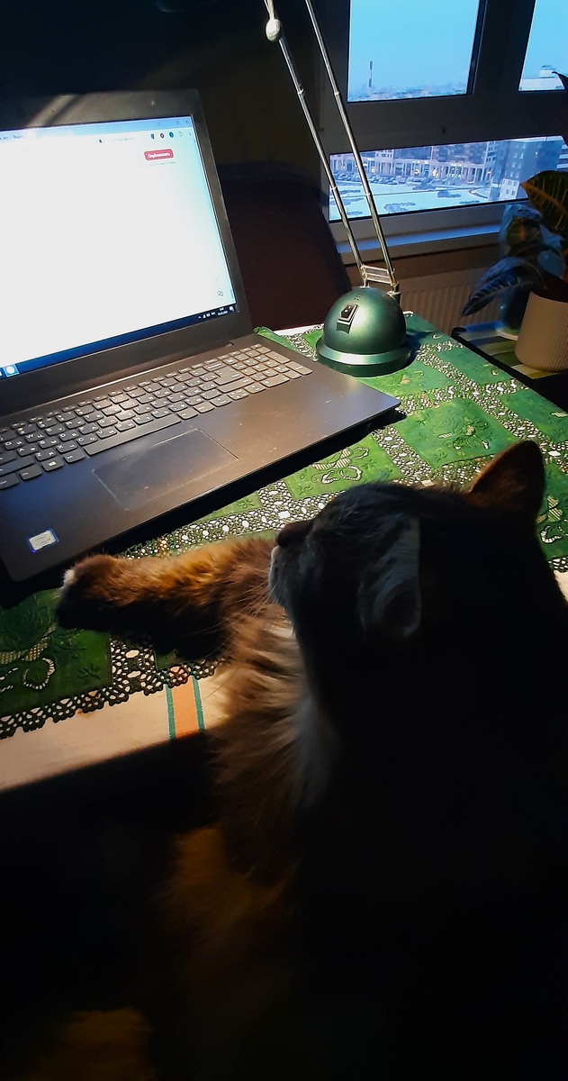 Фото автора