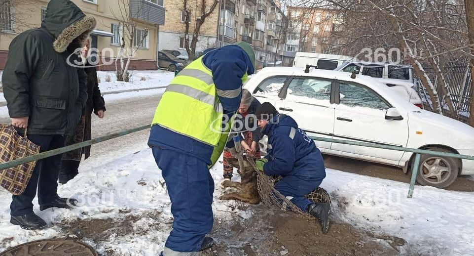    360.ru