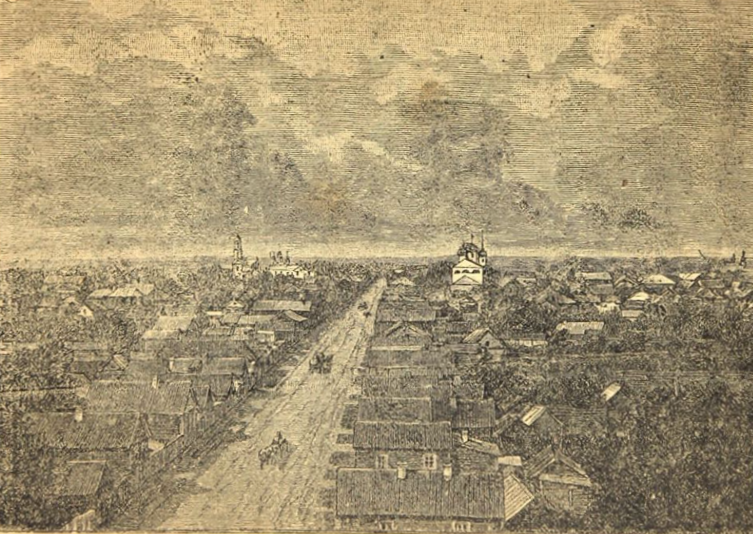 Общий вид на Старую Руссу