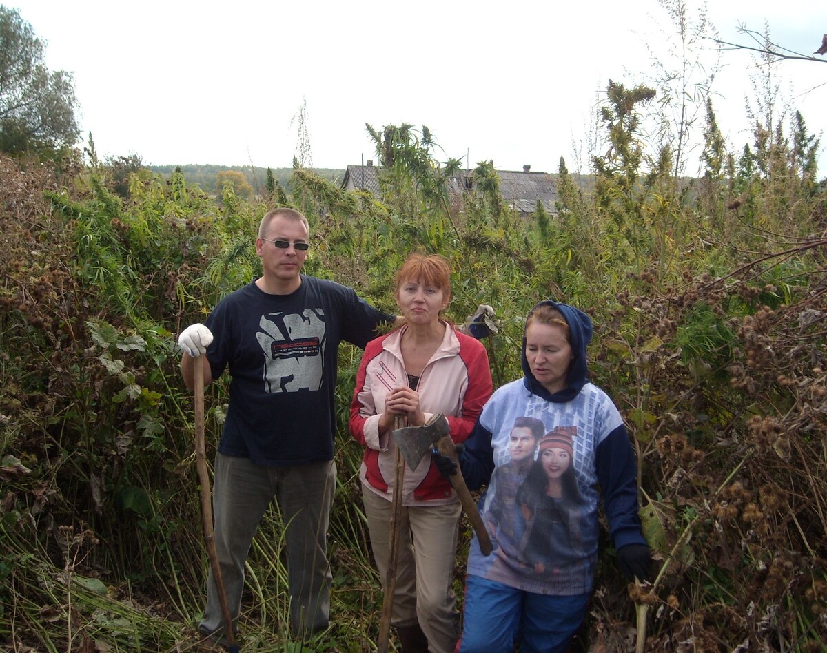 Да, заросли травы там были просто ошеломительные - и вот мы в них пробивали тоннели, чтобы сделать разграничение и вбить колышки между гектарами