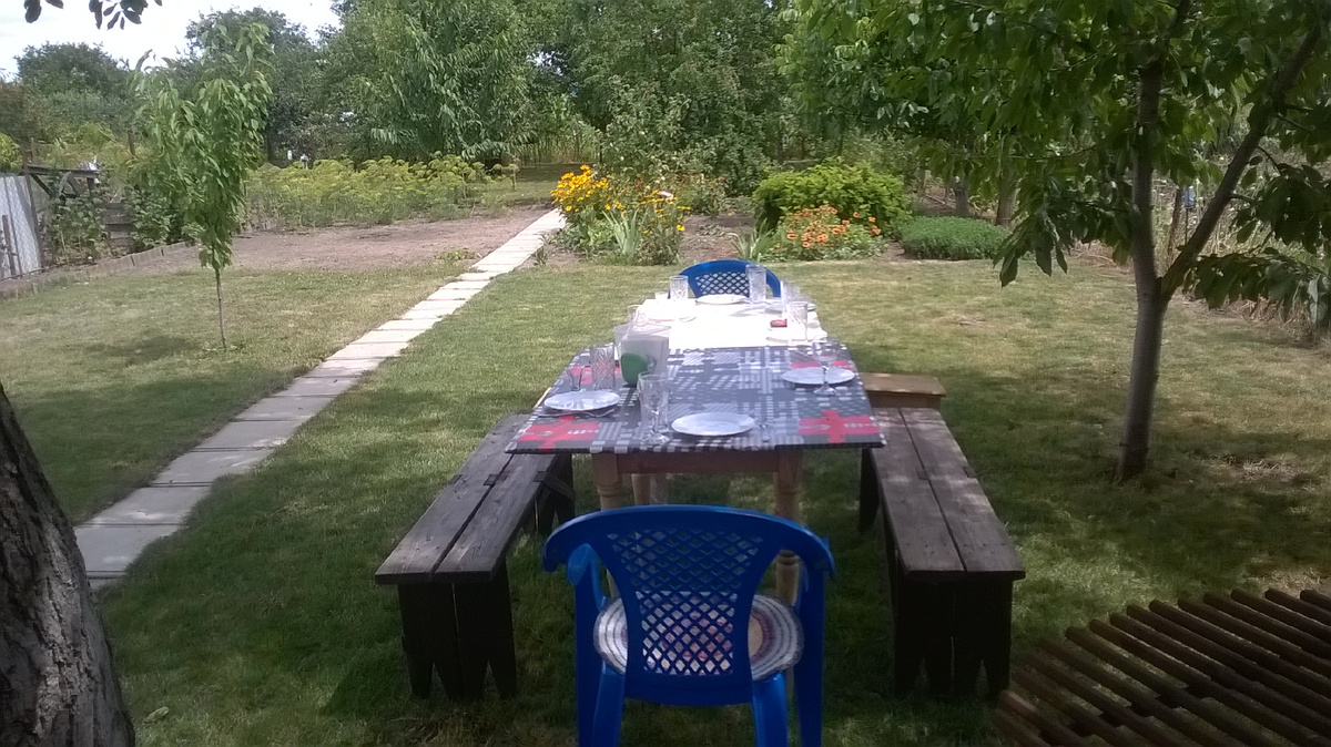 Лужайка. Уже неполиваемая(...