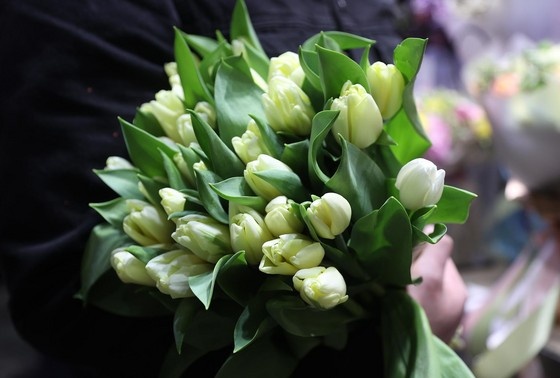    Сергей Булкин/NEWS.ru