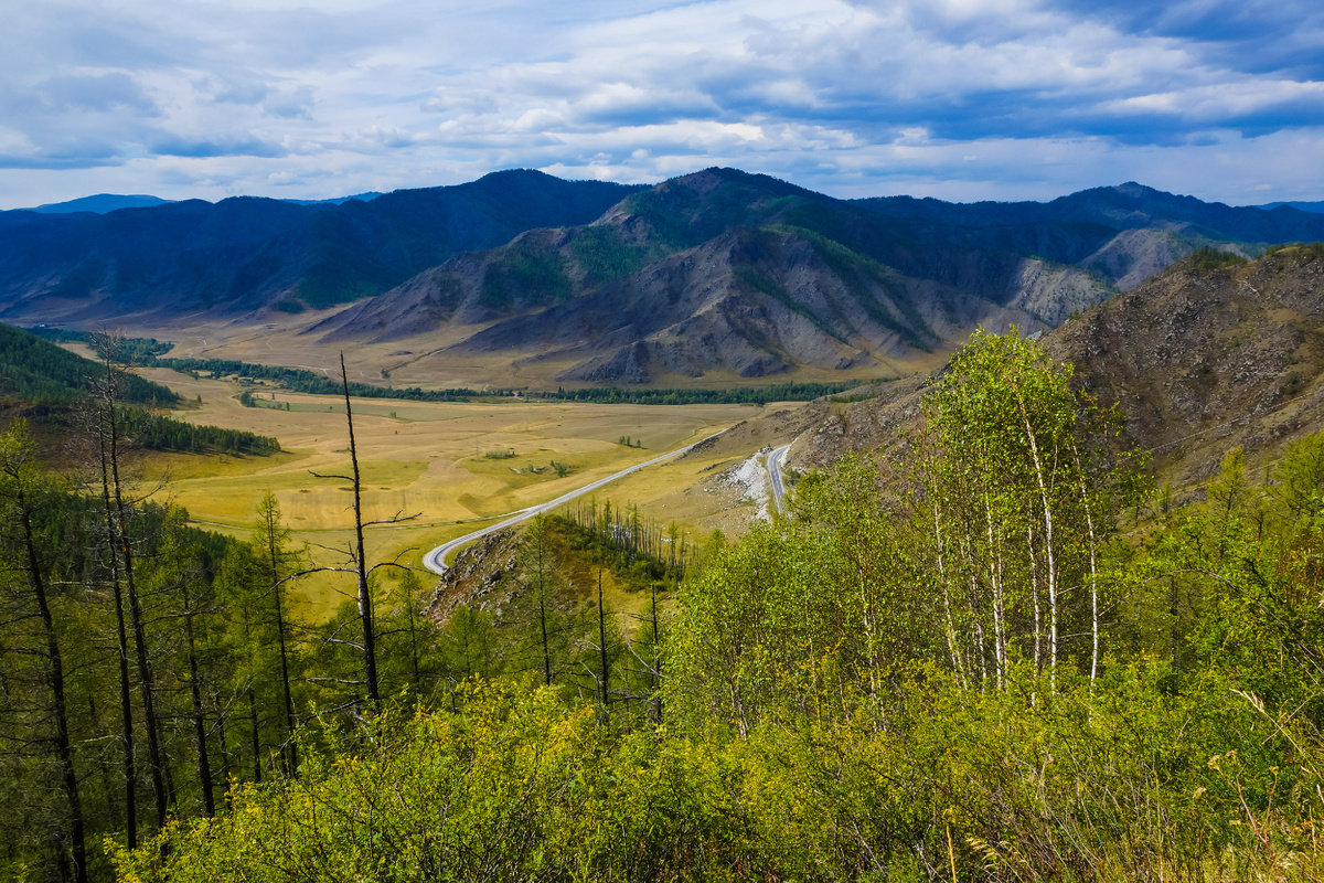 Перевал Чике-Таман в Алтае. Источник фото: commons.wikimedia.org. Автор: Iigors