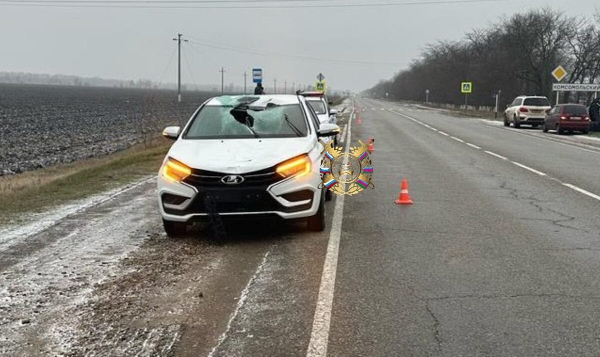    Фото t.me/gibdd123region