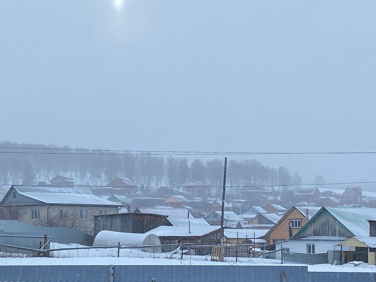Нападения волков на домашний скот участились, и хищники стали появляться даже на улицах населенного пункта.