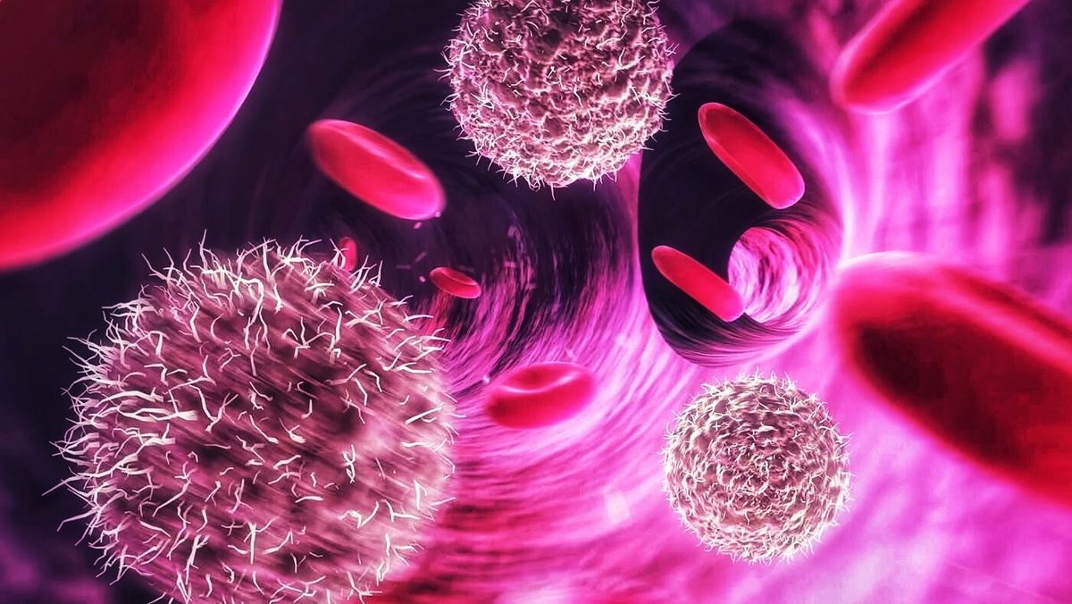 Изображение для оформления статьи: форменные элементы в сосудистом русле