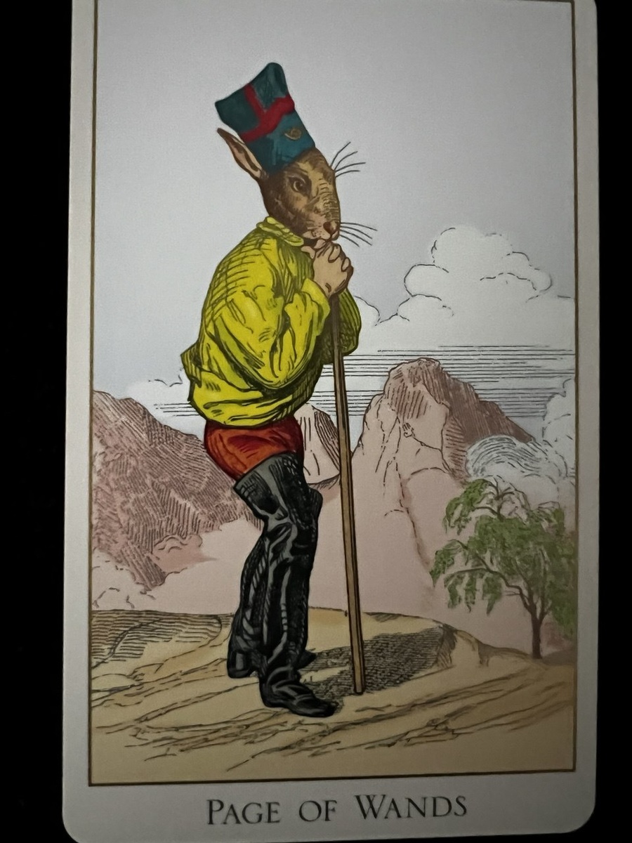 Паж Жезлов в колоде Таро "Фантастический зверинец"