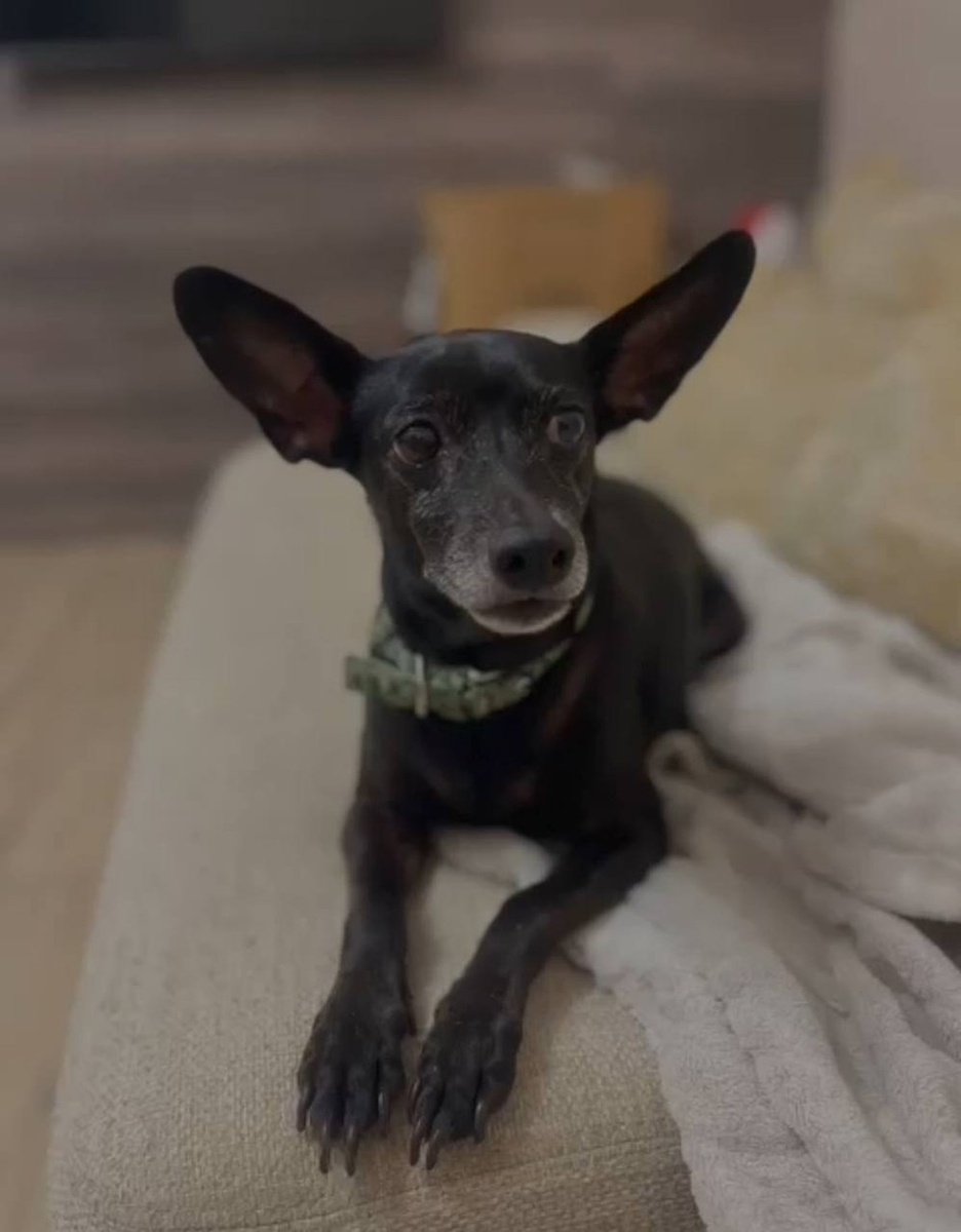    Эльза вдохновила юных изобретателей. Фото: предоставлено героями