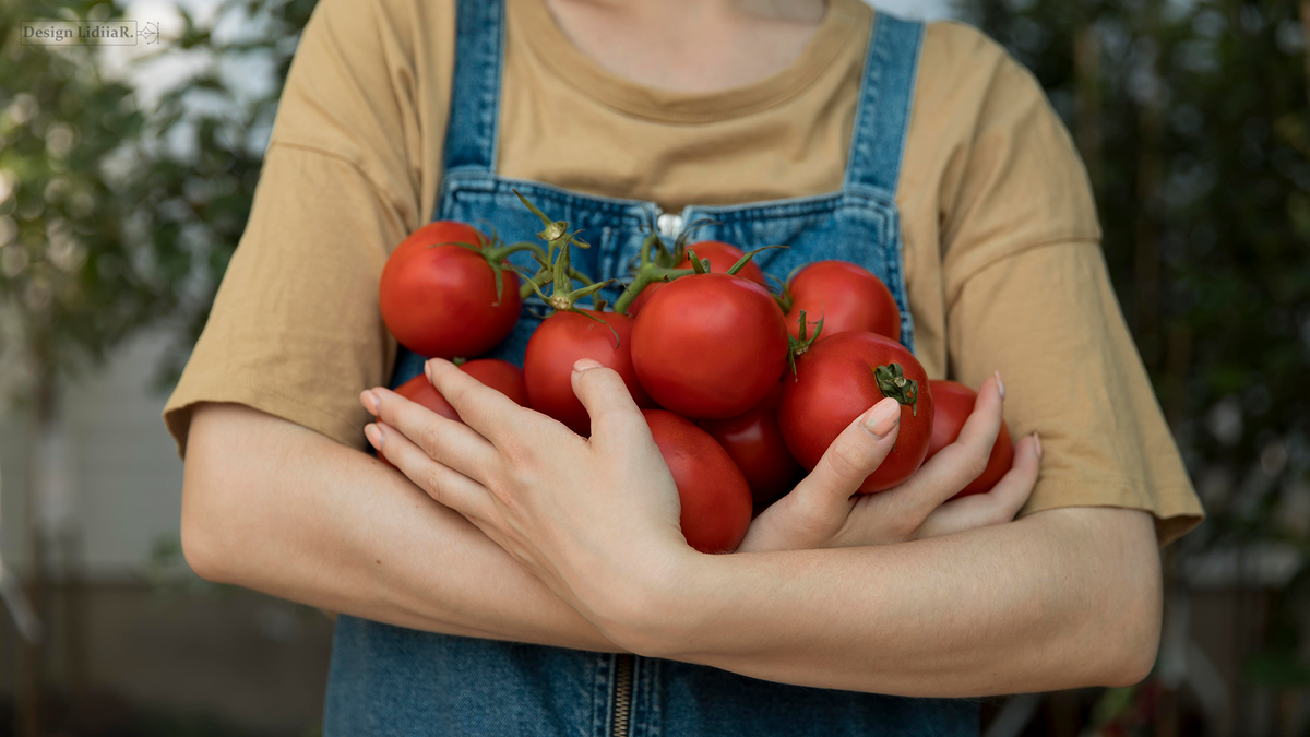 https://www.freepik.com/free-photo/female-farmer-holding-some-tomatoes_17622227.htm#fromView=search&page=1&position=10&uuid=513ab090-a707-4bd7-86b3-4b12985444af&query=tomatoes%2C+tomatoes%2C+plant